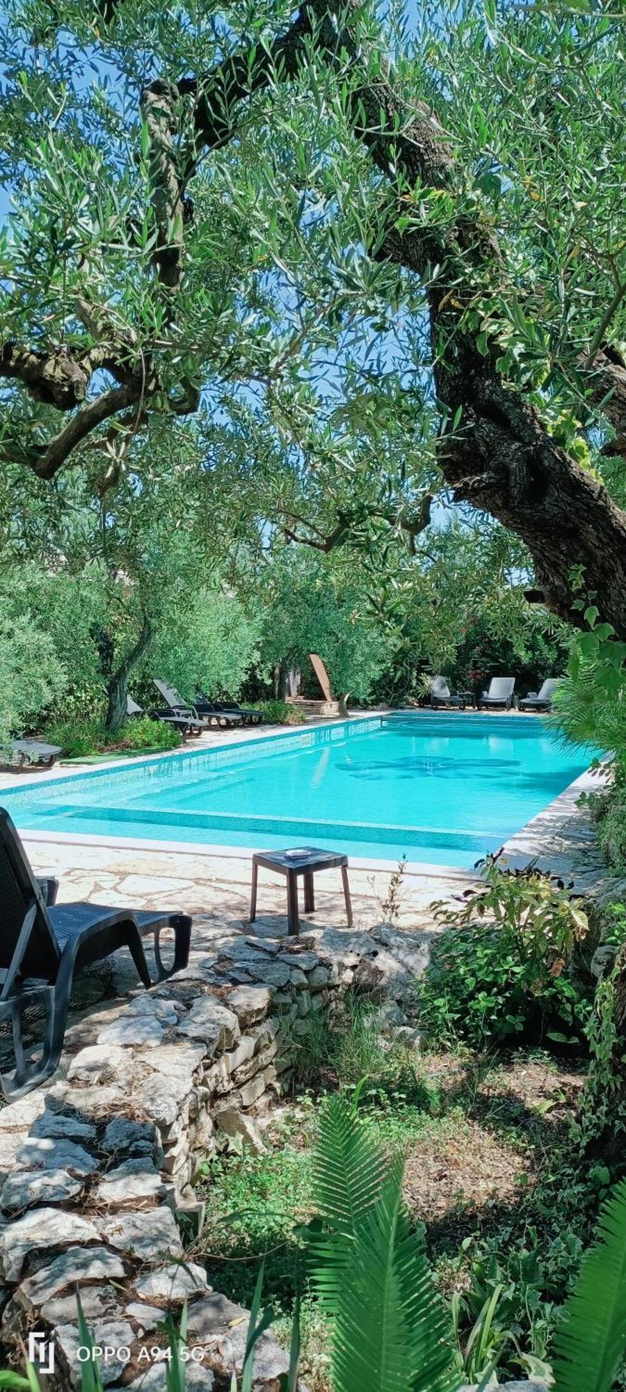 Agriturismo Le Vedute Бішельє Екстер'єр фото